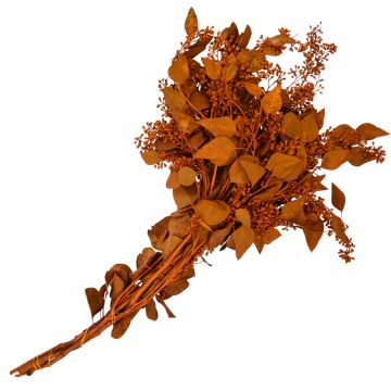 Eucalyptus with Seed Heads, Dipped 'Terra Cotta'