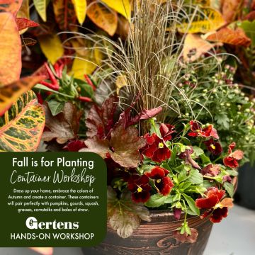 Fall Planter Workshop | Saturday, September 27th