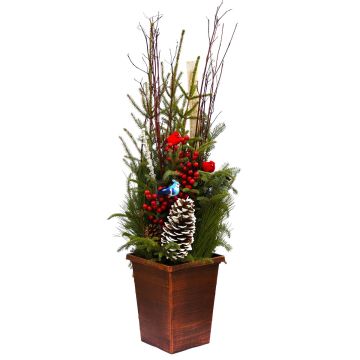 'Feathered Friends' Spruce Tip Container 