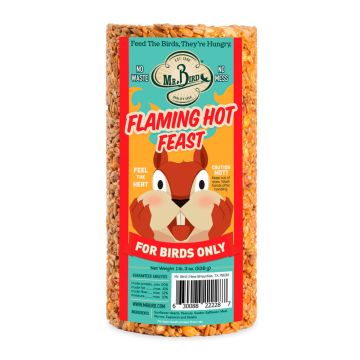 Mr. Bird, Flaming Hot Feast Cylinder, Small