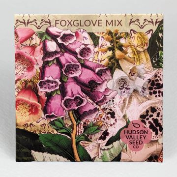 Digitalis, Foxglove Mix ~ 500 seeds