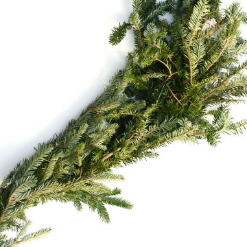 Fraser Fir Roping Garland