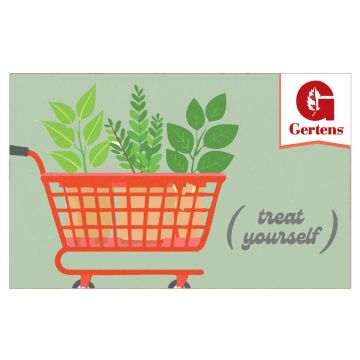 Treat Yourself - Gift Card