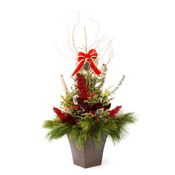 'Grande Entrance' Spruce Tip Container