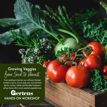 Growing Veggies from Seed to Harvest | Saturday March 28th at 9am
