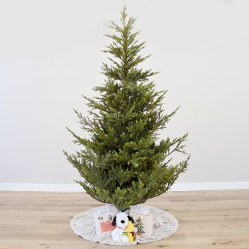 Saint Croix Fir Unlit, Gabriel Tree® Artificial Christmas Tree