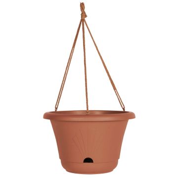 Hanging Basket, Lucca Terra Cotta, 13"