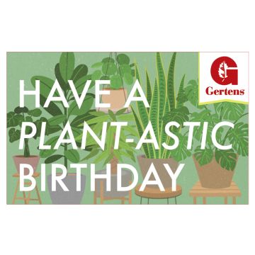 Happy Birthday - Houseplant - Gift Card