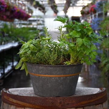 'Herb Garden' Bowl