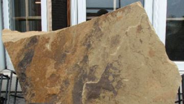 Petrified Seashore Flagstone