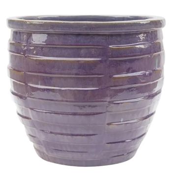 BORDER CONCEPTS Eloise Frost-Resistant Rimmed Planter 'Falling Purple'