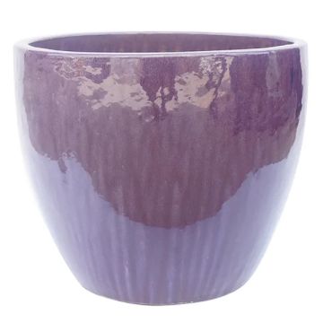 BORDER CONCEPTS Eloise Frost-Resistant Egg Pot 'Falling Purple'