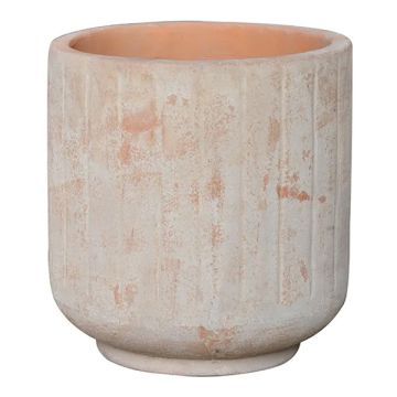 BORDER CONCEPTS Auckland Frost-Resistant Terracotta Urn 'White Wash'