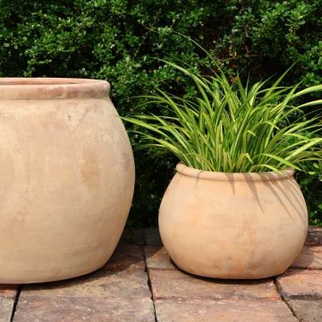 BORDER CONCEPTS Kessy Terracotta Planter 'Sienna'