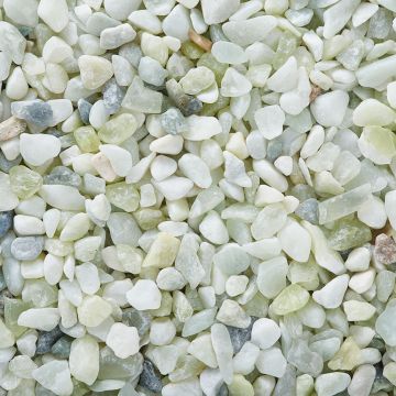 Exotic Pebbles & Glass Natural Bean Pebbles Jade 5 lb