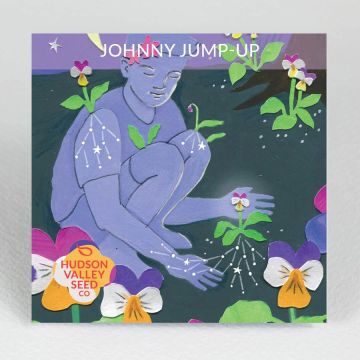 Viola, Johnny Jump-Up ~ 250 seeds