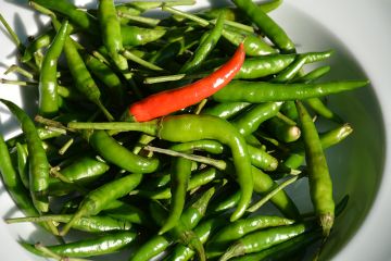 Capsicum, Hot Pepper 'Thai'