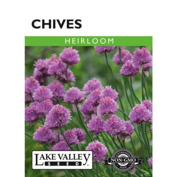 Allium, Chives, 0.75g