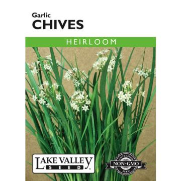 Allium, Chives, Garlic Chives, 0.75g