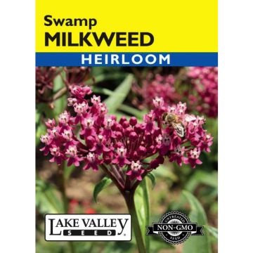 Asclepias, Swamp Milkweed, 0.3g