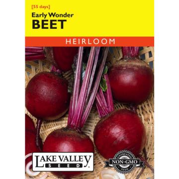 Beta, Beet, Early Wonder, 4g