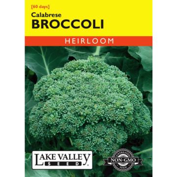 Brassica, Broccoli, Calabrese, 2g