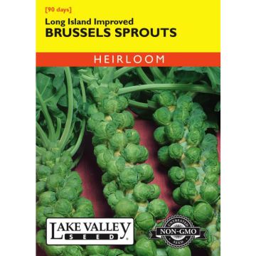 Brassica, Brussel Sprouts, Long Island Improved, 1.5g