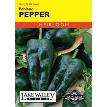 Capsicum, Pepper (Hot), Poblano Pepper, 0.3g