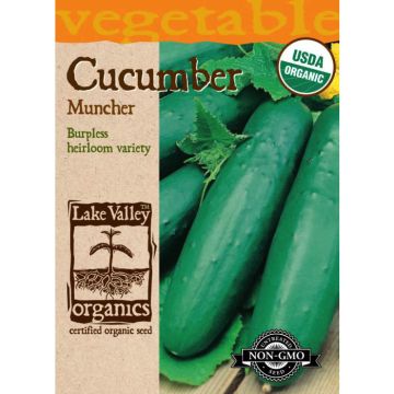 Cucumis, Cucumber, Muncher, 3g