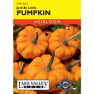 Cucurbita, Pumpkin, Jack Be Little, 1g