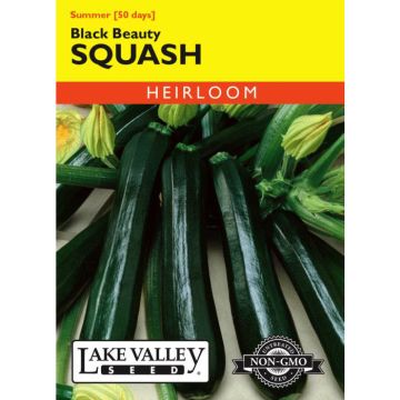 Cucurbita, Squash (Summer), Black Beauty Squash, 4g