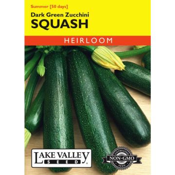 Cucurbita, Squash (Summer), Dark Green Zucchini Squash, 4g