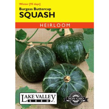 Cucurbita, Squash (Winter), Burgess Buttercup Squash, 4g