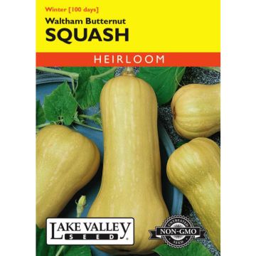 Cucurbita, Squash (Winter), Waltham Butternut Squash, 4g