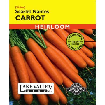 Daucus, Carrot, Scarlet Nantes, Value Pack, 5g