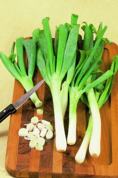 Allium, Leeks
