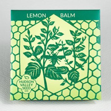 Melissa, Lemon Balm ~ 200 seeds