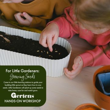 For Little Gardeners: Growing Seeds | Sunday March 22nd at 10am