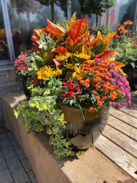Two Custom Fall Combo Patio Arrangements in Glazed Pottery