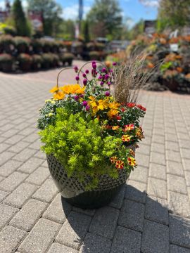 Two Custom Fall Combo Patio Arrangements in Glazed Pottery