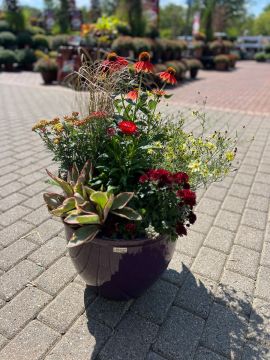 Two Custom Fall Combo Patio Arrangements in Glazed Pottery