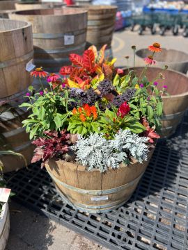 Whiskey Barrel Fall Arrangement