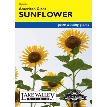 Helianthus, Sunflower, American Giant, 1.5g