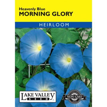 Ipomoea, Morning Glory, Heavenly Blue, 1.5g