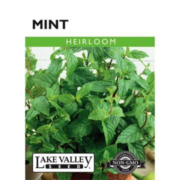 Mentha, Mint, 0.05g