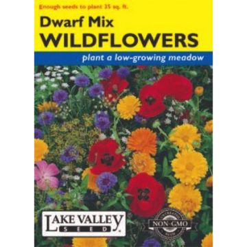 Mix, Wildflowers, Dwarf Mix