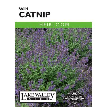 Nepeta, Catnip, Wild Catnip, 0.25g