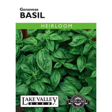 Ocimum, Basil, Genovese Basil, 0.5g