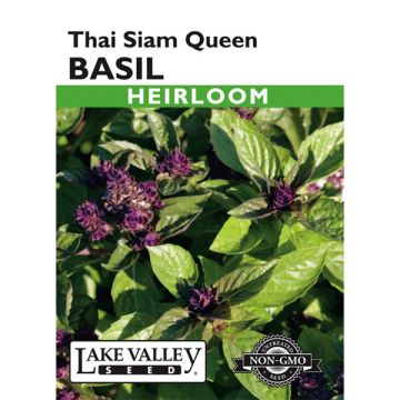Ocimum, Basil, Thai Siam Queen Basil, 0.25g