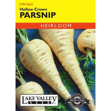 Pastinaca, Hollow Crown Parsnip, 2g